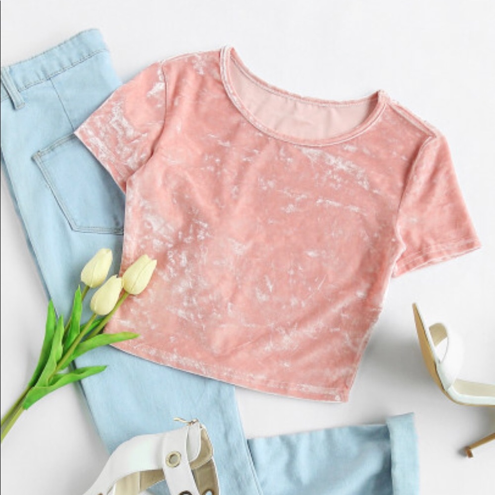 💗Slim Fit Crop Crushed Velvet Tee💗